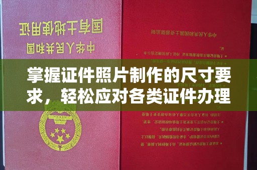红花岗掌握证件照片制作的尺寸要求，轻松应对各类证件办理