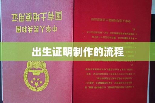 红花岗出生证明制作的流程